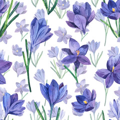 Fototapeta na wymiar Seamless pattern with watercolor crocuses. Spring bright flowers. Seamless background.