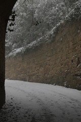ancona snow