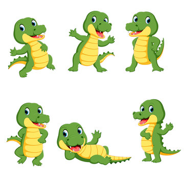 collection of cute crocodile character cartoon