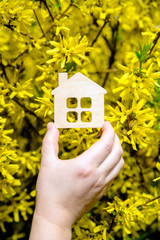 The girl holds the house symbol against the background of blossoming forsythia 