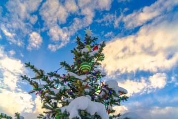 Cloudy blue sky over snow covered Christmas tree