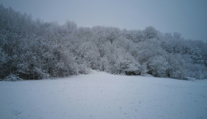 Obraz na płótnie Canvas winter mountain landscape with trees and snow