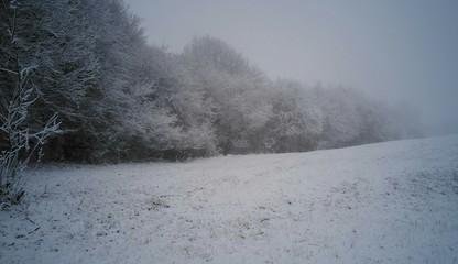 Obraz na płótnie Canvas winter landscape with fog and snow