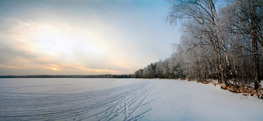 Winter landscape, trees in the forest covered with frost. Russia, Leningrad region. Panorama.