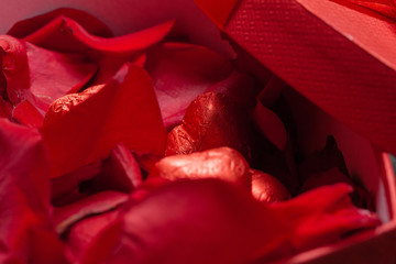 Many rose petals inside open gift box on old  wooden background. Sweet holiday background with rose petals
