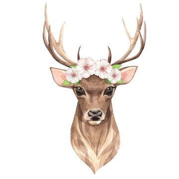 Noble deer with white flowers. Watercolor illustration