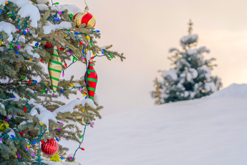 Decorated snowy tree against a winter landscape