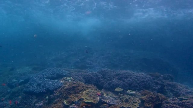 Under the surface of wavy waters. The camera filmes below waves crashing into land with many corals on the sea bottom.