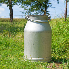 Alte Milchkanne aus Aluminium vor einer Viehweide