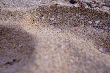 soft beach sand