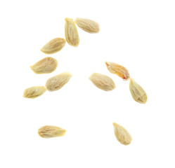 Seeds in tangerines on a white background