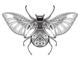 Black and white hand drawn stylized beetle.