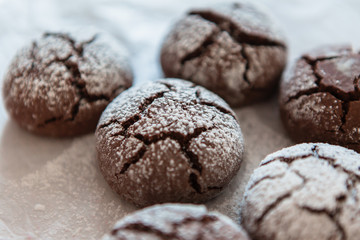 freshly baked chocolate cookies sprinkled with powdered sugar close-up