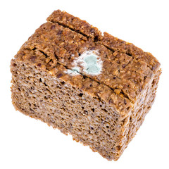 Rye bread with mold