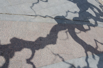 Dark shadow on the street pavement, sunny summer day