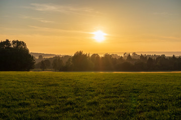Naklejka premium The sunset over wheat field in Germany