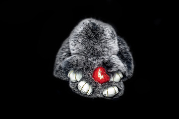 grey rabbit fur with red heart on black background