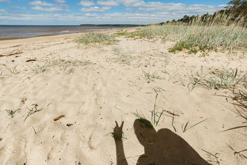 Seaside with sandy beach and human shadow showing victory symbol by hands.