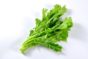 Mustard green plant  on white background