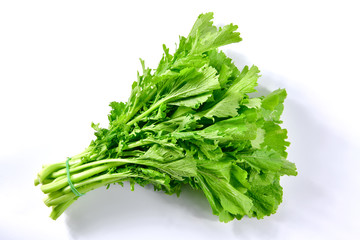 Mustard green plant  on white background