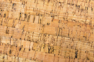 Natural wood texture cork for background 