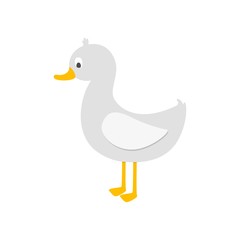 Cute duck on white background. Vector illustration.