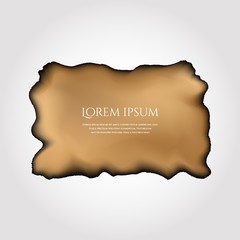 Illustration of parchment, old paper with burnt edges isolated. Vector