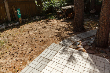 Cozy yard with pine cones and footpath, sunshine.