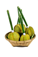 Long stem or kan yao durian Thai name king of fruits, tropical fruit on white background
