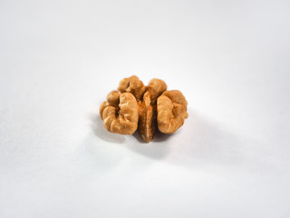 Walnut on a white background.