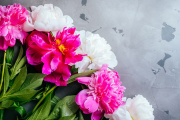 Beautiful fuchsia and white peony flower bouquet on the grey concrete background. Closeup, flatlay style.