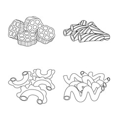 Isolated object of pasta and carbohydrate sign. Set of pasta and macaroni stock symbol for web.