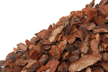 Tree bark pieces isolated on white background. top view