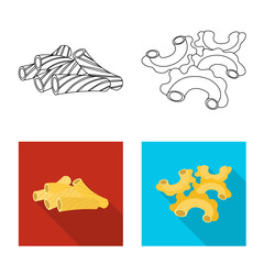 Isolated object of pasta and carbohydrate sign. Collection of pasta and macaroni stock symbol for web.