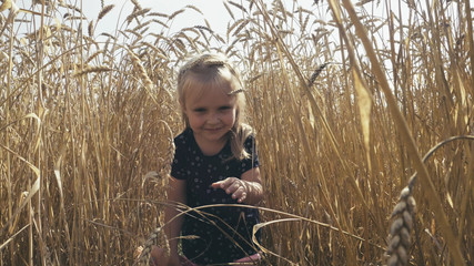 Cute little girl walking through wheat field