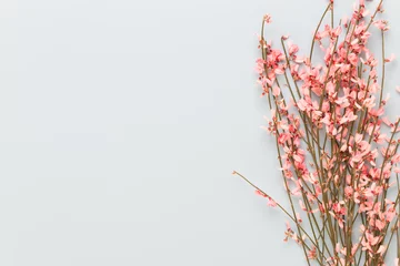 Photo sur Plexiglas Fleurs Spring greeting card, living coral color flowers on the pastel background.