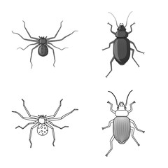 Vector design of insect and fly symbol. Set of insect and element stock vector illustration.