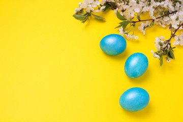 Cherry Blossom Branch and Easter Blue Eggs on the Yellow Background.