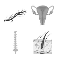 Vector illustration of body and human icon. Set of body and medical stock vector illustration.