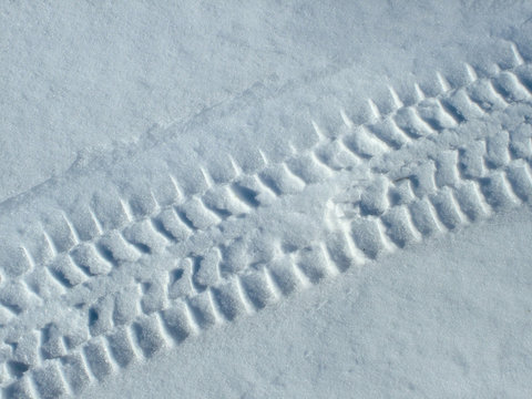 Shadows and patterns  on the surface of snow