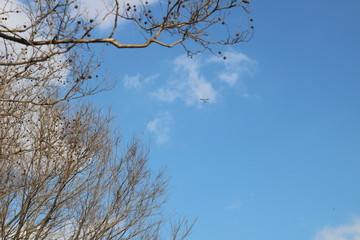 風景　冬の空　渡良瀬　茨城