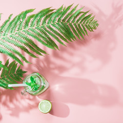 Fototapeta na wymiar Leaf of fern with shadow and detox water on pastel pink. Top view with copy space. Tropical summer vacation.