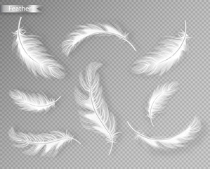 White feathers set collection Vector realistic. Different falling twirled feathers isolated on transparent background. Realistic style. 3d illustrations
