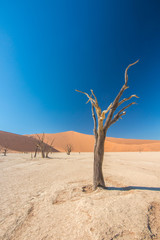 Namibia Namib desert Deadvlei