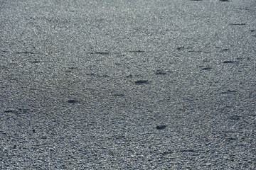 Muszle w zbliżeniu na morskiej plaży. © W Korczewski