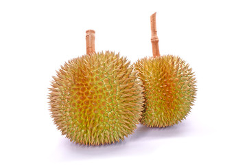 Durian the famous fruit from Thailand, it also known as The King of Fruits. Durian (Salika or...
