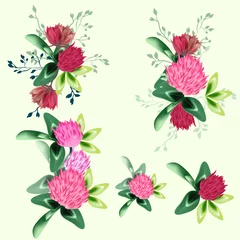 Behang Collection of vector realistic field clover flowers for design © Mary fleur