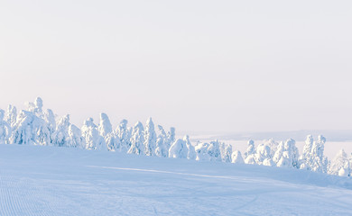 Fototapeta na wymiar Heavy snow landscape. Photo from Sotkamo, Finland.