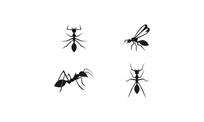 Ant set template logo
