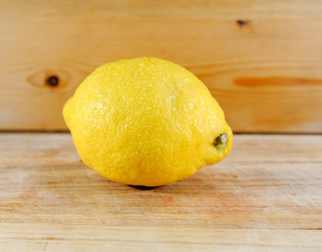 CITRUSfrucht zitrone